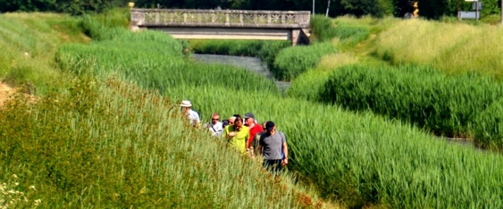 Area di riequilibrio geologico “Collettore  delle Acque Alte”