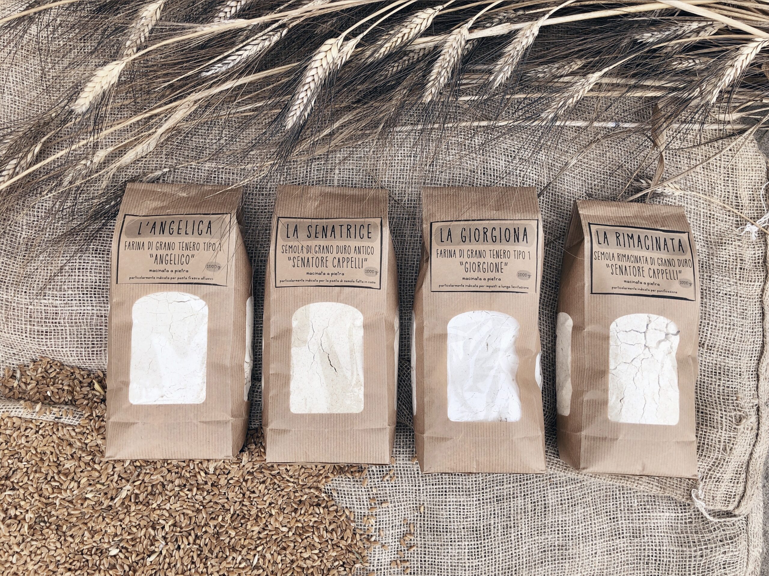 Azienda Agricolo “Ponte Pasqualino”