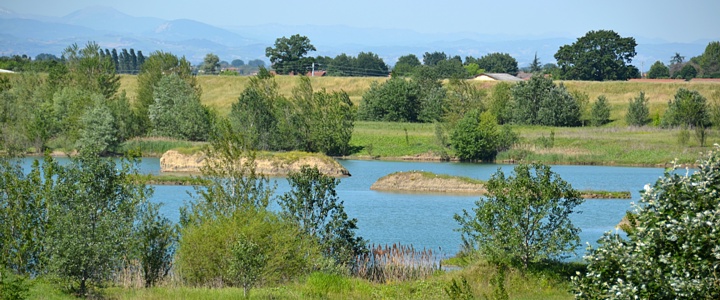 Cassa di Espansione del Torrente Samoggia
