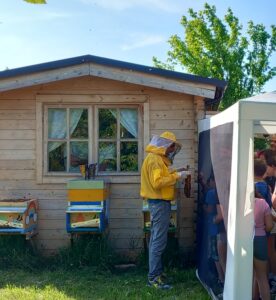 Sire L’Alveare Salutare